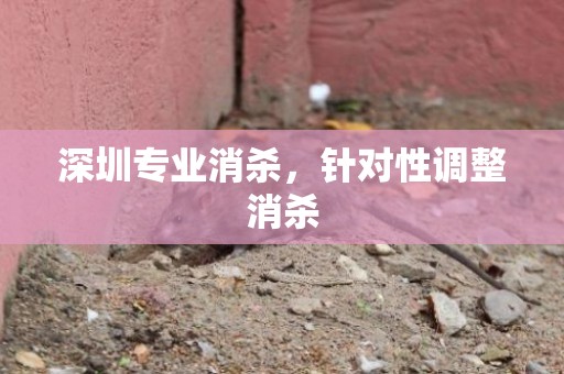 深圳专业消杀，针对性调整消杀
