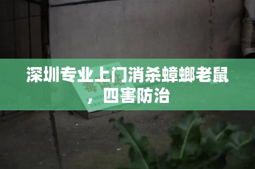 深圳专业上门消杀蟑螂老鼠，四害防治