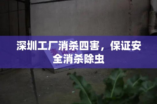 深圳工厂消杀四害，保证安全消杀除虫