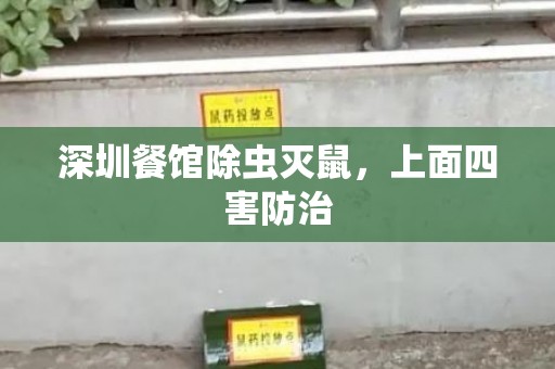 深圳餐馆除虫灭鼠，上面四害防治