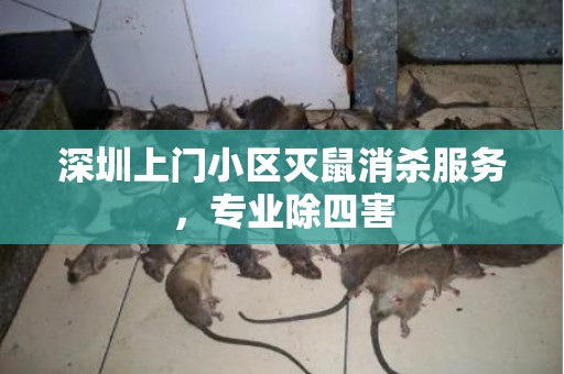 深圳上门小区灭鼠消杀服务，专业除四害