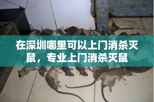 在深圳哪里可以上门消杀灭鼠，专业上门消杀灭鼠