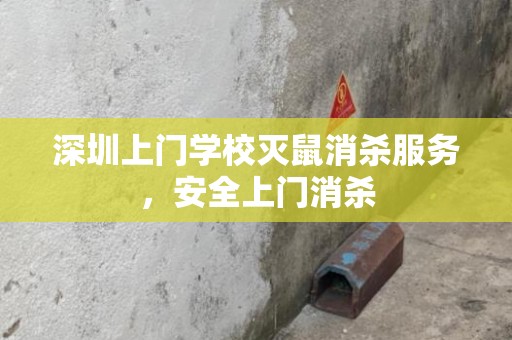 深圳上门学校灭鼠消杀服务，安全上门消杀
